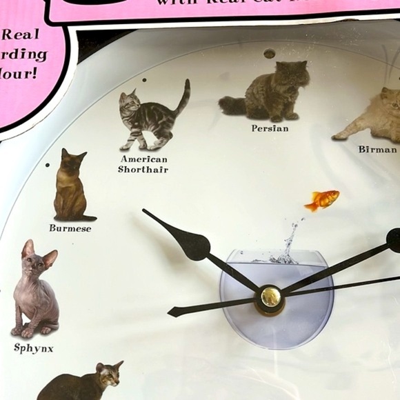 Brand New Meowing Cat Clock Real Cat Recordings Every Hour Popular Breeds Round - Picture 6 of 14